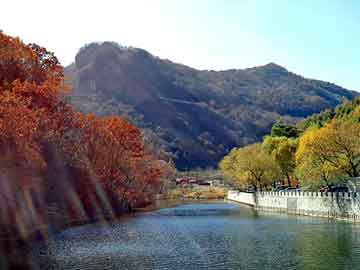 探索新澳门与香港，从免费资源到最新资讯的全方位解读（2005-2025）